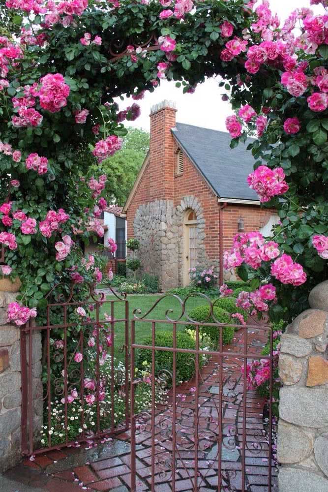 Rosal trepador: cuidados, consejos y fotos para inspirarse